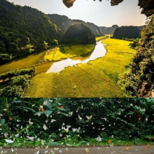 TOUR NINH BÌNH - VƯỜN QUỐC GIA CÚC PHƯƠNG 2 NGÀY 1 ĐÊM