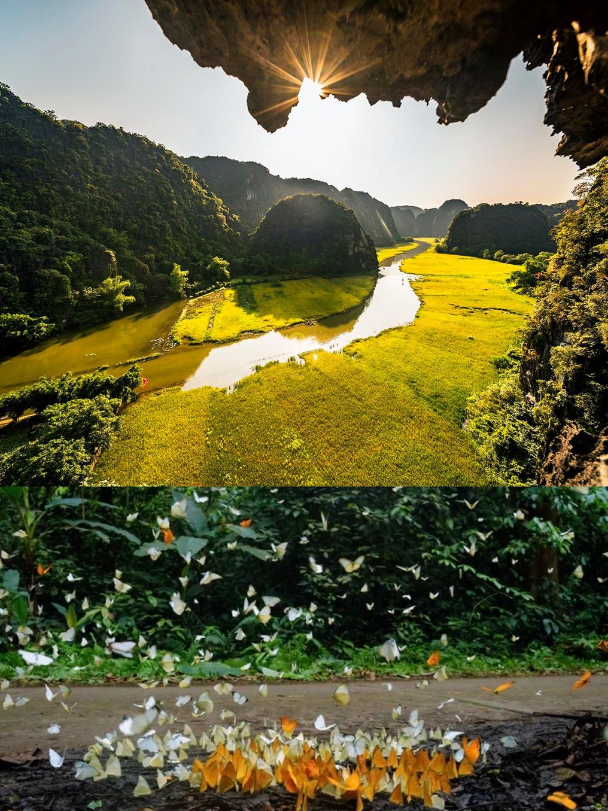 TOUR NINH BÌNH - VƯỜN QUỐC GIA CÚC PHƯƠNG 2 NGÀY 1 ĐÊM